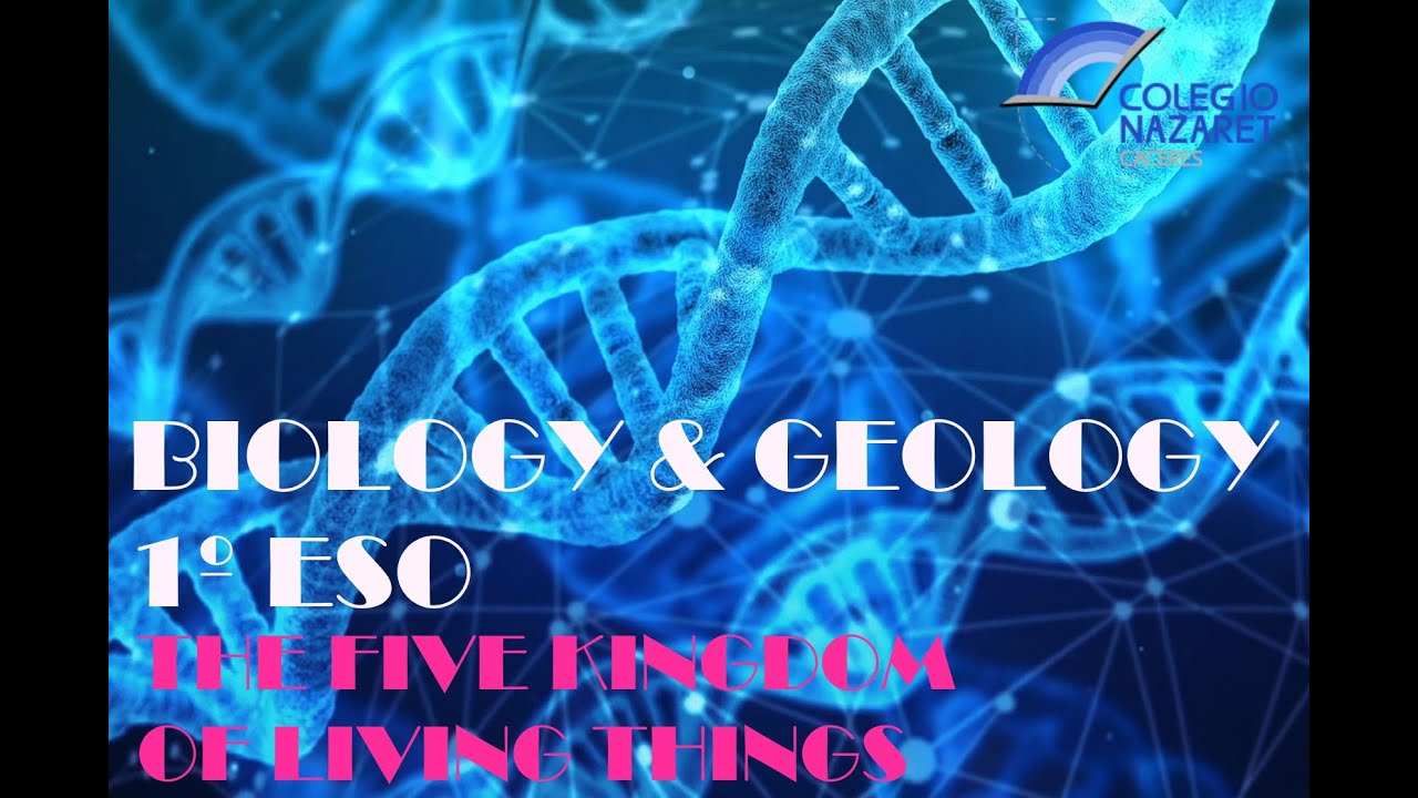 Watch Biology & Geology 1Âș ESO: Five Kingdoms of Living Things Now Biology & Geology 1Âș ESO: Five Kingdoms of Living Things
