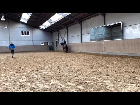 Quien de Susaeta - training february 2020