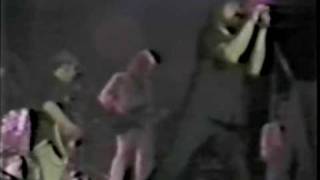 Bob Seger-Live Hollywood Nights