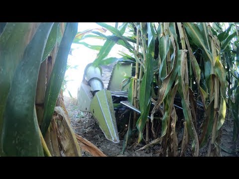 The Beast - CLAAS forage harvesters - JAGUAR 860