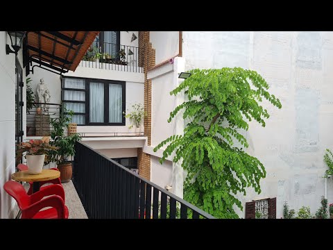 Nhà triệu đô Nguyễn Bặc, Tân Bình, 270m, Chỉ 38 tỷ