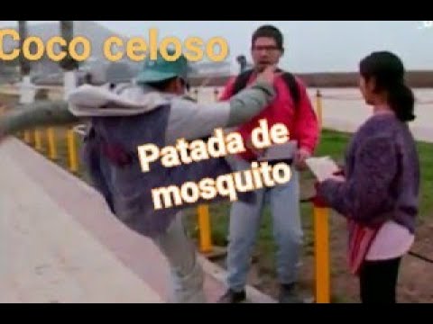 Los Choches:coco celoso y su patada de mosquito..