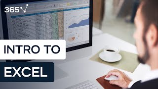 How to Make Your Spreadsheets Look Professional - Introduction to Excel | 365 Data Science Courses