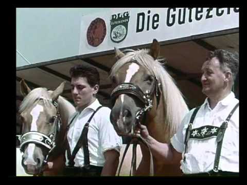 DLG Exhibition in Hanover 1964