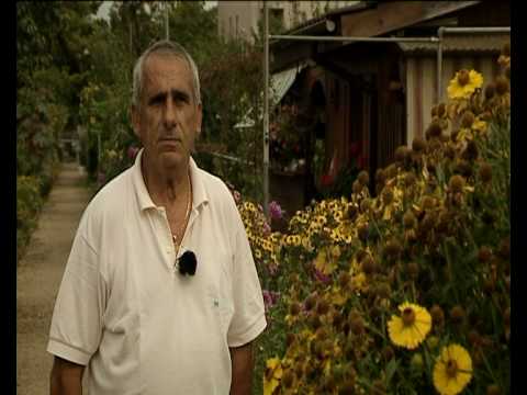 Dokumentarfilm "Mit Herz und Hand"