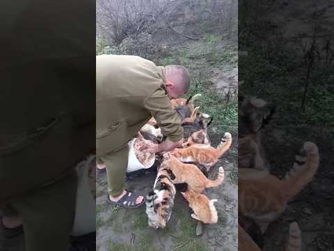 Скільки пухнастого щастя...🥰💙💛 #ukraine