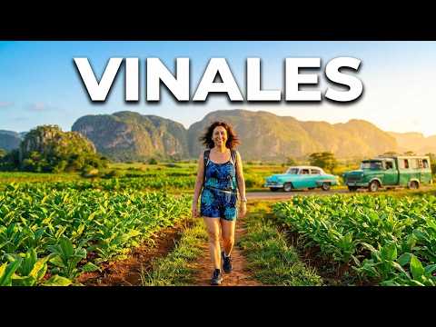 Voyage à CUBA - J04 - Vinalès - Pinar del Rio