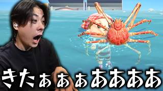 半年かけて海の幸をコンプリートしたぞ‼…＃39【あつまれ どうぶつの森】