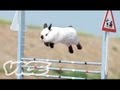 Cute Bunny Jumping Competition! 