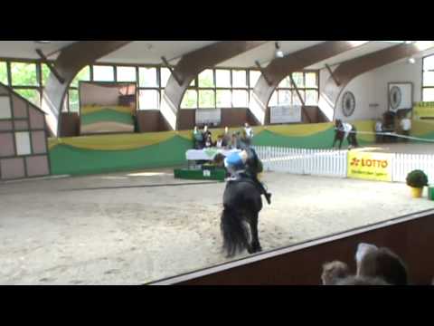 Malte Möller,Kür, Samstag - Preis der Besten Krumke 2013