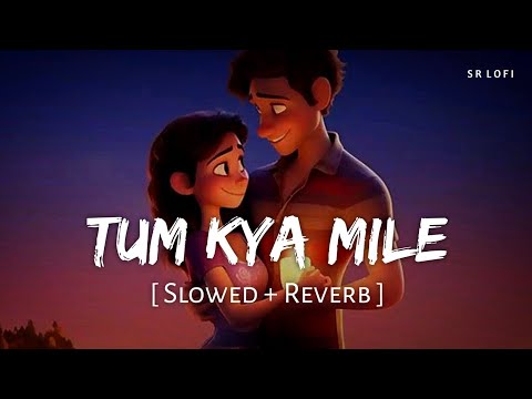 Tum Kya Mile (Slowed + Reverb) | Arijit Singh, Shreya Ghoshal | SR Lofi