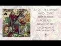 A Lot Like Birds "Kuroi Ledge" 