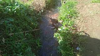 Download lagu Aprilian-kekasih yang sempurna mp3 Download lagu Aprilian-kekasih yang sempurna mp3