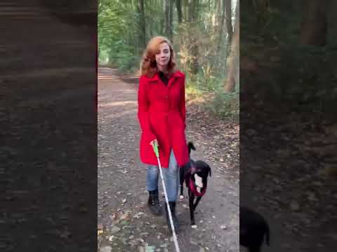 Woche des Sehens 2022