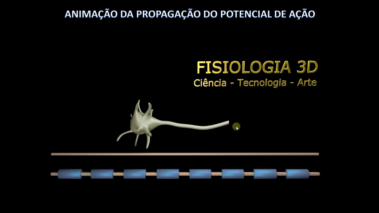 junção neuromuscular\, image size:1280x720