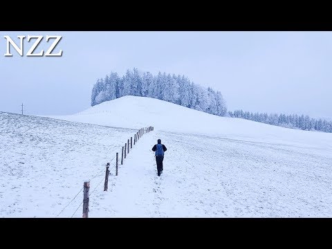 Einsamkeit: die unterschätzte Gefahr, Ausschnitt einer Dokumentation von NZZ Format