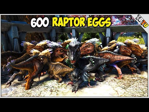 600 RAPTOR EGGS! RAPTOR COLOR MUTATIONS! Ark Survival Evolved Mutation Zoo