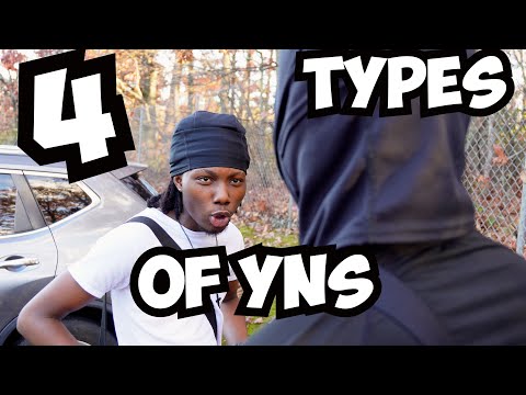 4 TYPES OF YNs