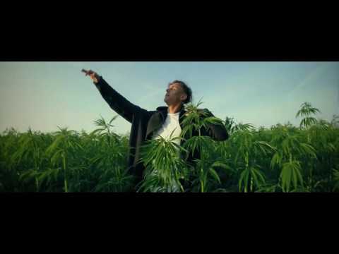 Medonas - uzstriges savyje (video 2016)