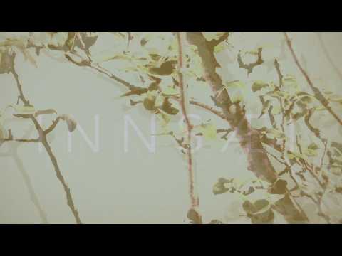 INNSÆI - the wisdom of the non-escape