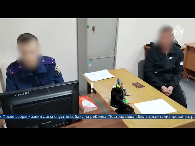 В Тайшете вынесен приговор мужчине, который натравил ротвейлера на 1,5-годовалую девочку