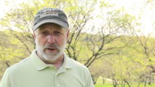 Bringing Back The Chestnut: Establishing a Chestnut Orchard