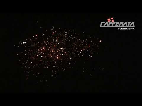 5036 - Colour Plum Coco