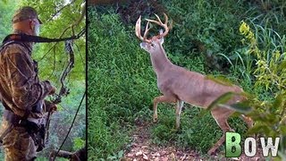 Bow Hunting Deer: Early Season Success!