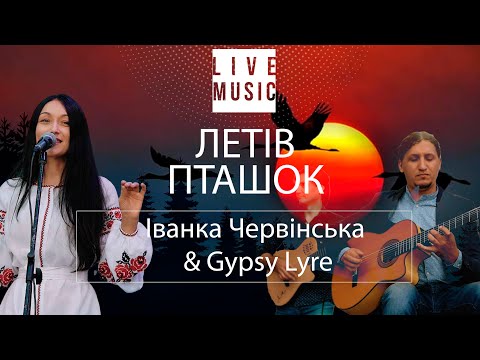 ЛЕТІВ ПТАШОК українська пісня про кохання -  Іванка Червінська & Gypsy Lyre