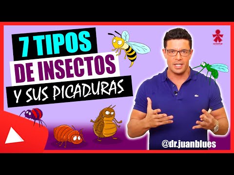 TYPES OF BITE ‼️ RESPONSIBLE INSECT ‼️ HOW TO RECOGNIZE IT ⁉️ 🐜 🪲🪰🦗🦟🐞🪳🕷