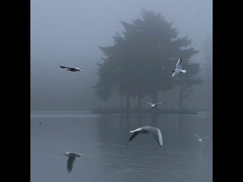 semmmyq, shinra - untitled (instrumental, минус)