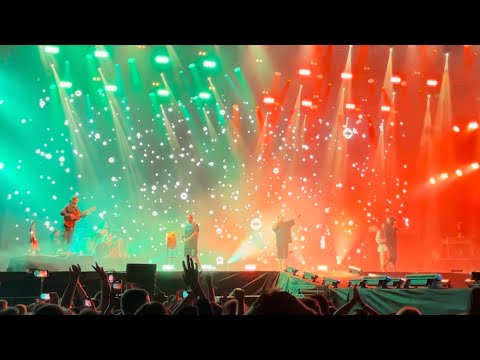 Subcarpați Freestyle Battle 2022: Motanu X AFO | Live @ElectricCastleFestival 08