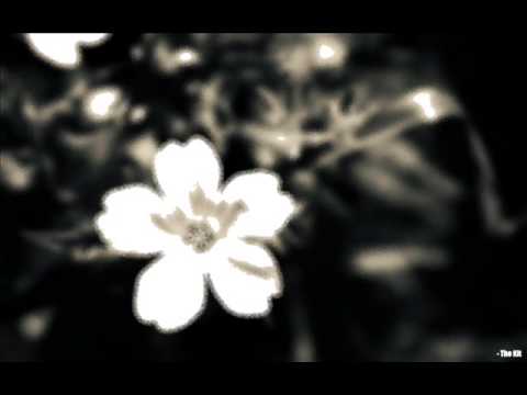 DUBSTEPBASTER - Dubstepbaster world (Original mix)