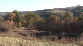 Field Looking Into Hollow