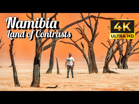 Namibia 4K | Land of Contrasts