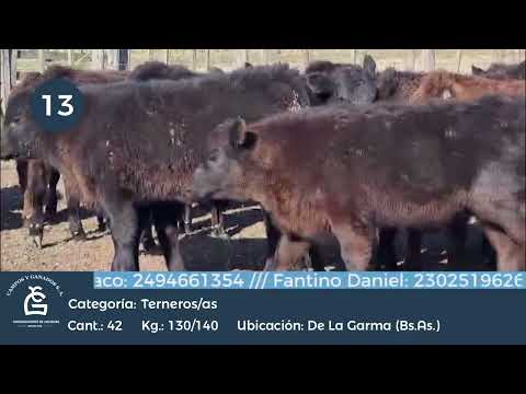 Lote M Y H -  De La Garma Bs As