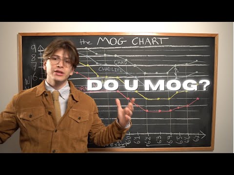 Das Mog-Diagramm (F x H = SMV)