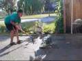 Computer Smashing Sledge Hammer