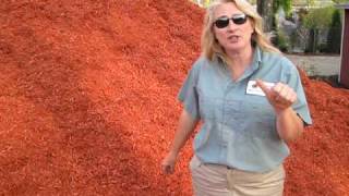 Lakeview Nurseries - Super Red Cedar Mulch