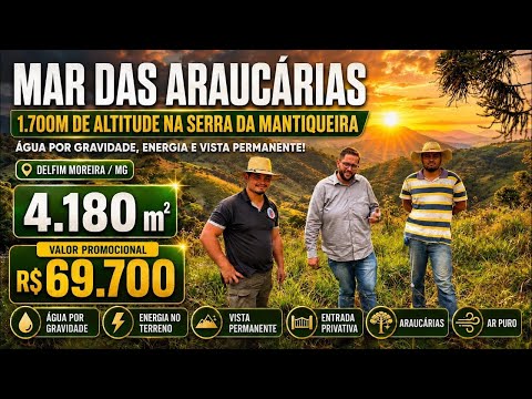 🌲 4.180M² POR R$69.700 | 1.700M DE ALTITUDE E MAR DE ARAUCÁRIAS EM DELFIM MOREIRA-MG 🏔️
