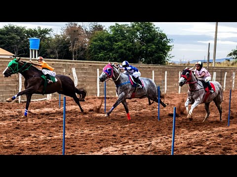 CORRIDA DE CAVALOS 23* FESTA DO VAQUEIRO EM BARRA D ALCÂNTARA 