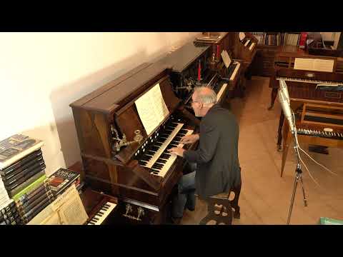 Claudio Brizi plays Sinfonia 7 in e BWV 793 by J. S. Bach - Orgue à Célesta Mustel (Paris, 1898)