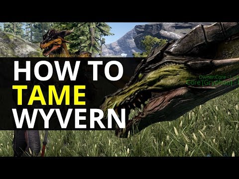 Dark and Light - How To Tame A Wyvern (DNL Guide)