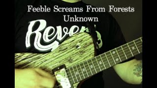 Burzum - Feeble Screams From Forests Unknown Guitar Lesson