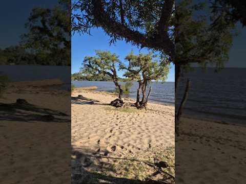 "Río Uruguay, integrando ecosistemas y pueblos"