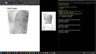 How to integrate device fingerprint with web application