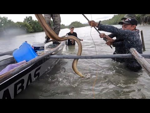 EP749-P2 - Panghuhuli ng Malabanos at Pangangapa ng Capiz | Occ. Mindoro