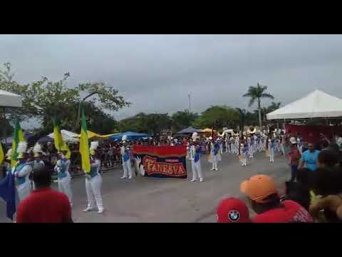 Entrada da Fanesva Regente:Adelson Lemos