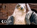 The Falcon S PSYCHOLOGICAL Game STUART LITTLE 2 Clip 2002 Michael J Fox