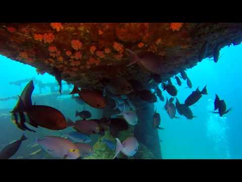 Rannamaari Wreck 15th Anniversary Dive - The beginning
